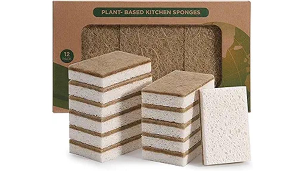 12 pack natural sponges