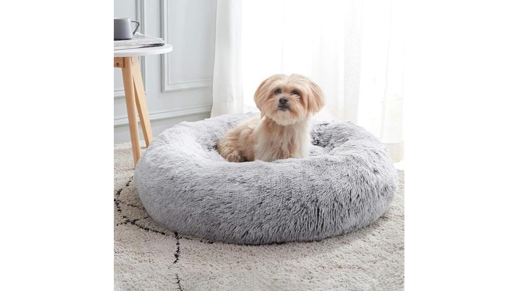 calming pet bed solution