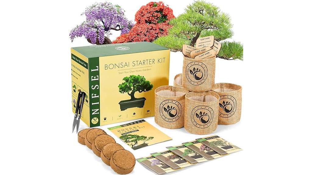 indoor bonsai gardening kit