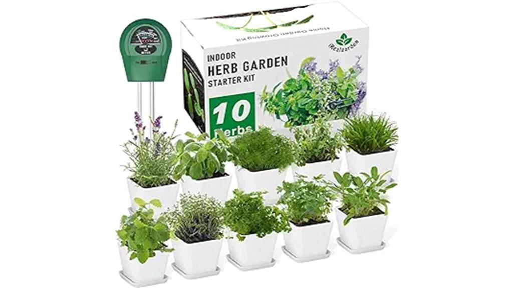 indoor herb garden starter