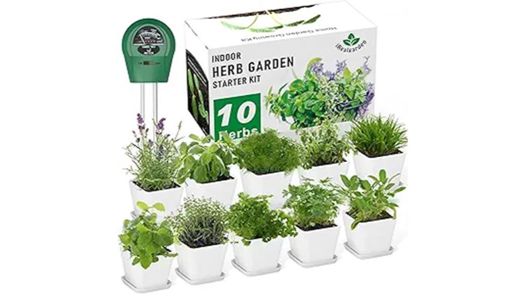 indoor herb garden starter