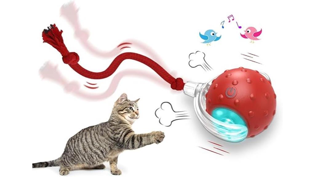 indoor interactive cat ball