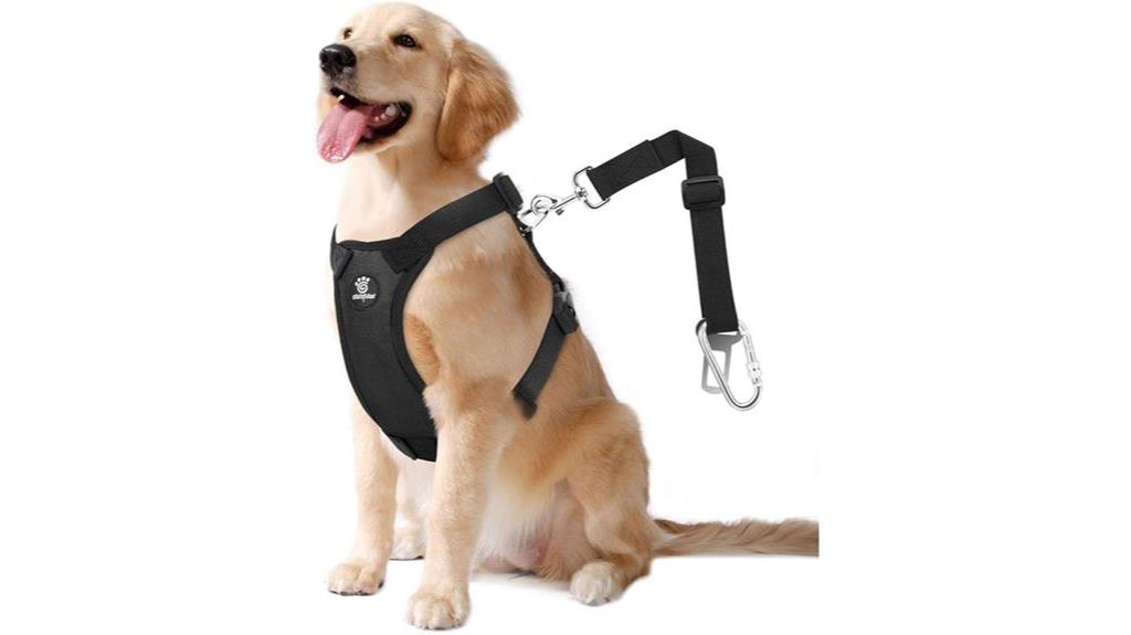 large dog safety harness