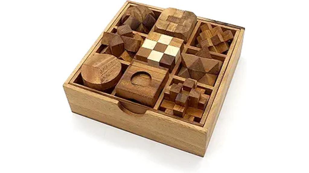 nine wooden brain puzzles