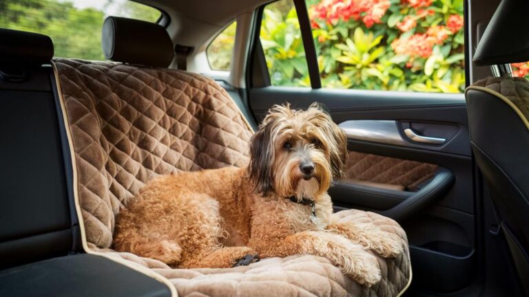 pet car seat covers