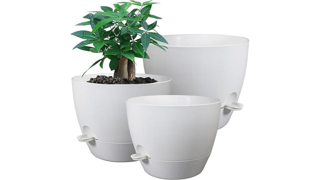 self watering garden pots indoors