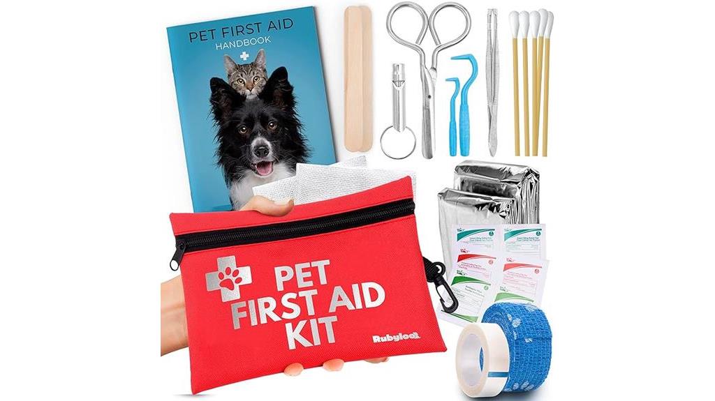 traveling dog first aid