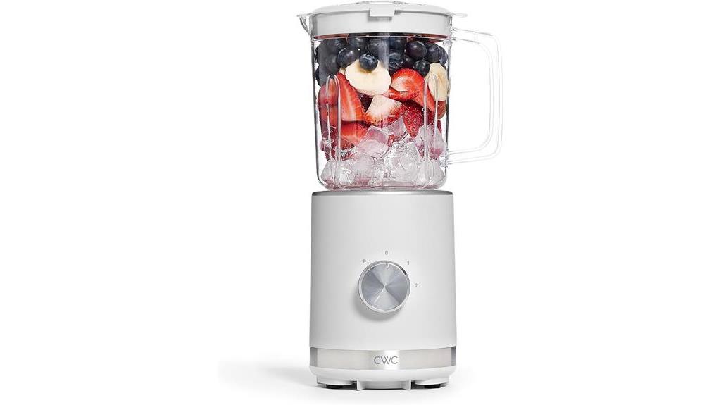 vibrant 300 watt blender